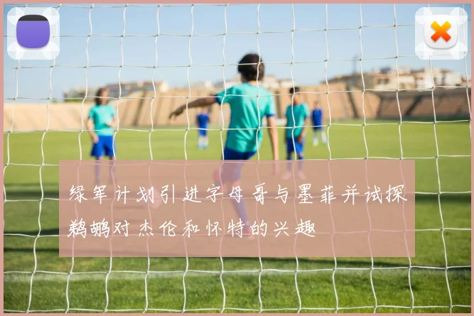 绿军计划引进字母哥与墨菲并试探鹈鹕对杰伦和怀特的兴趣